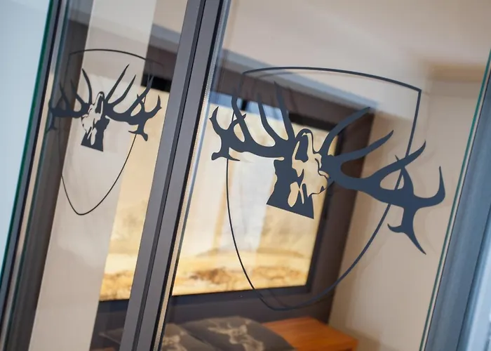 Boutique Cervus 3* Saint-Moritz